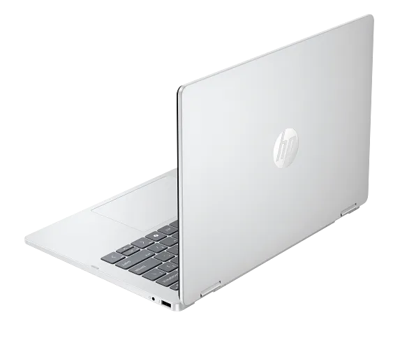  — FP0023DX silver back
